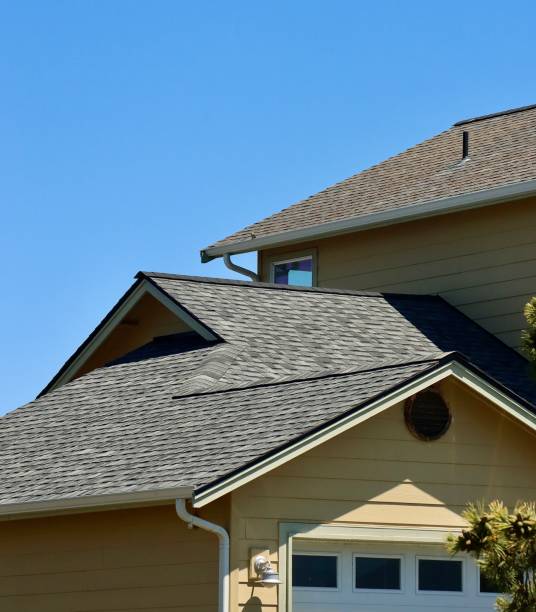 Roof Insulation in Buena Vista, GA